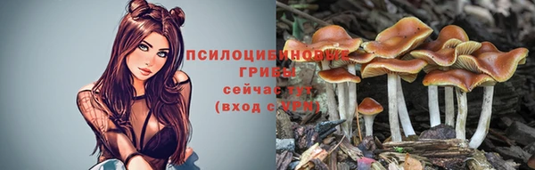 амф Абдулино