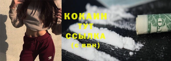 дживик Абаза