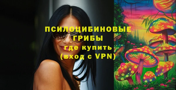 МДПВ Алексин